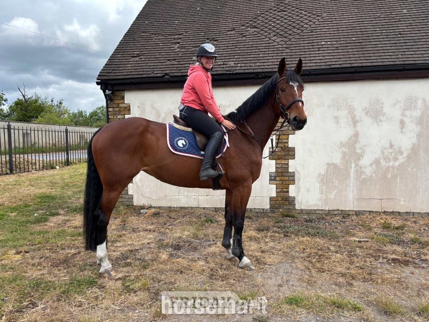 "OCEANANA" Bay Mare All Rounder in Noak Hill
