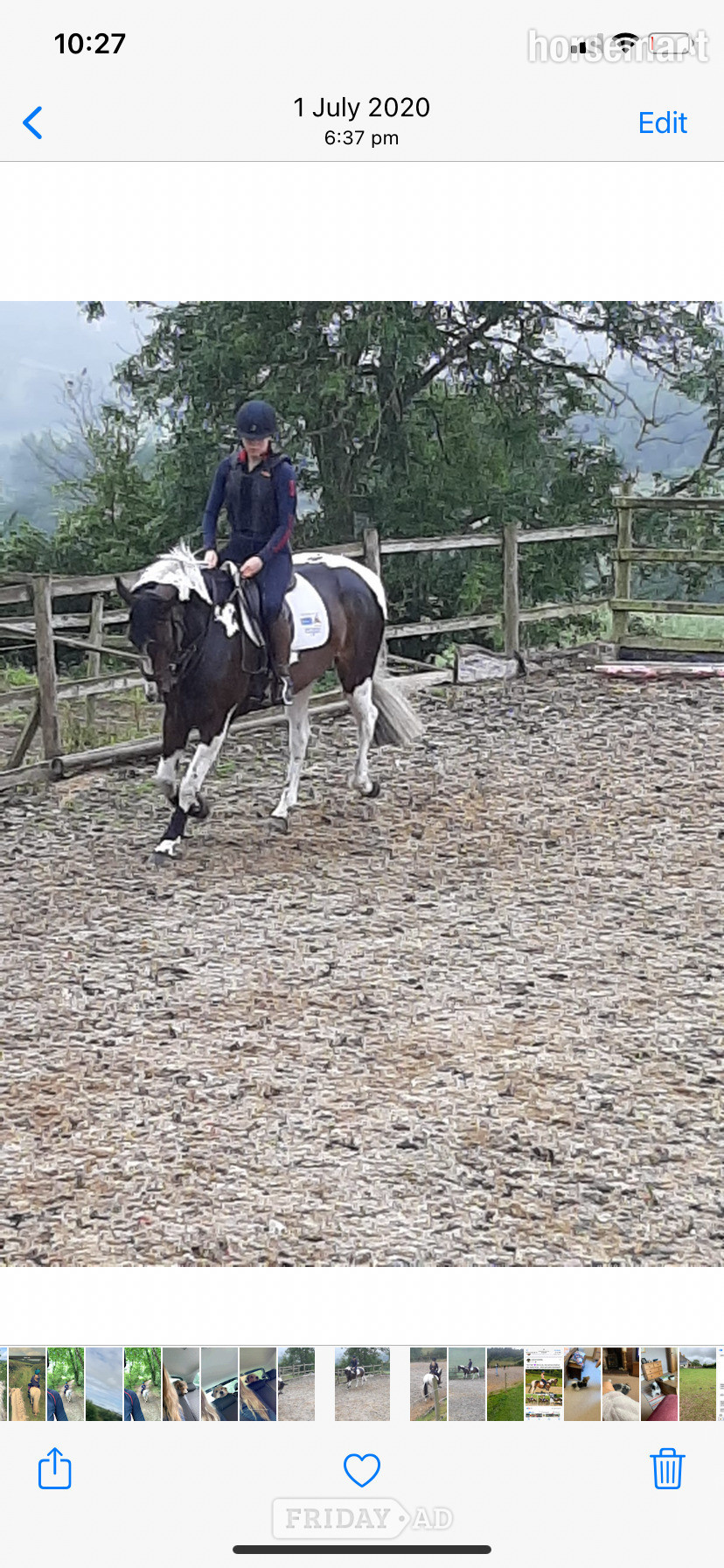 "BRINETON GIRL TALK" Coloured Mare All Rounder - Horses in St Asaph