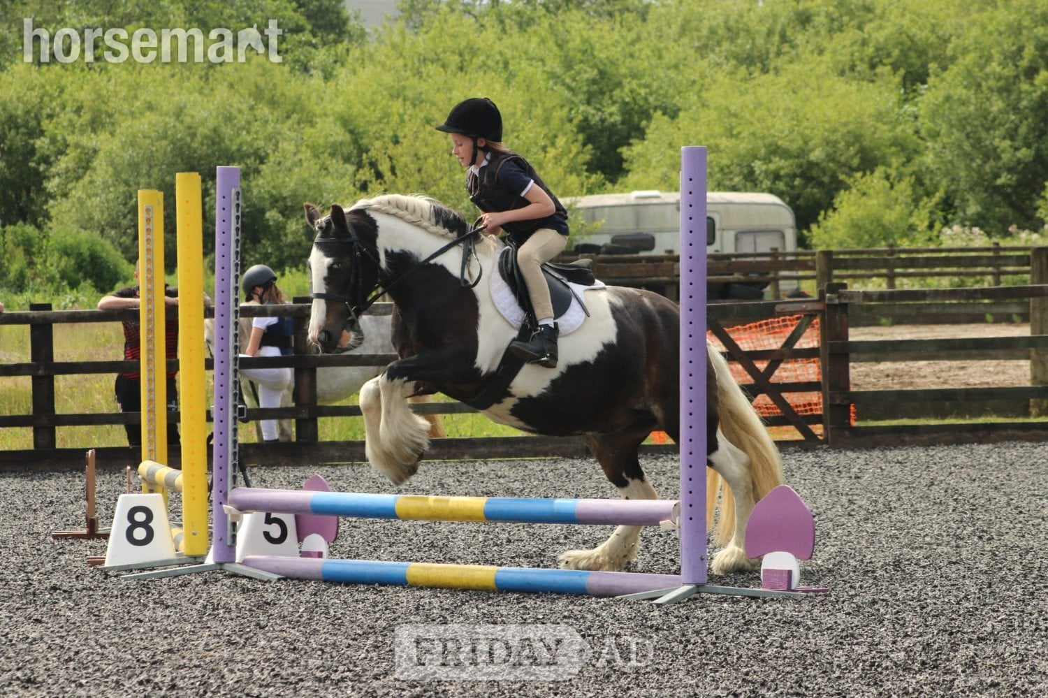 "Dolly" Skewbald Mare Family Horse - Horses in Swansea