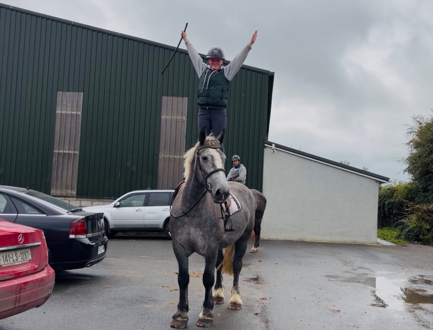 "Rosie: ultra quiet, steady, reliable, patient happy hacker" Iron Grey Mare Happy Hacker