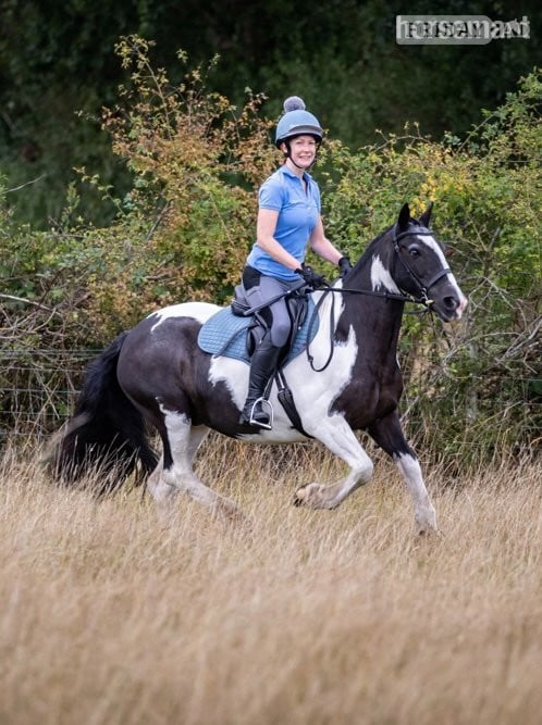 Sevenoaks 14.2 Cob for share, Kent, TN15 - weekday