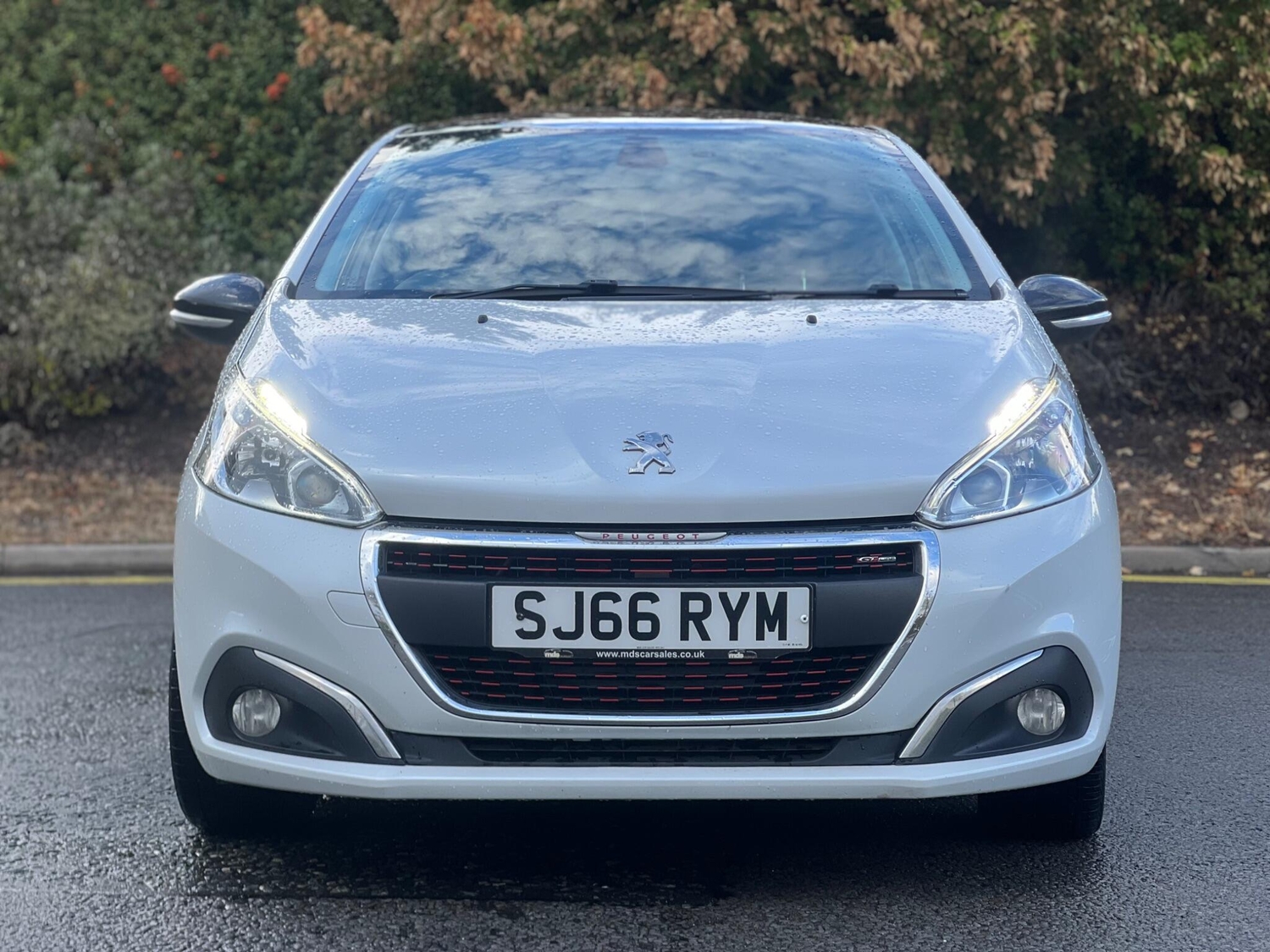 [ berth ]Peugeot 208