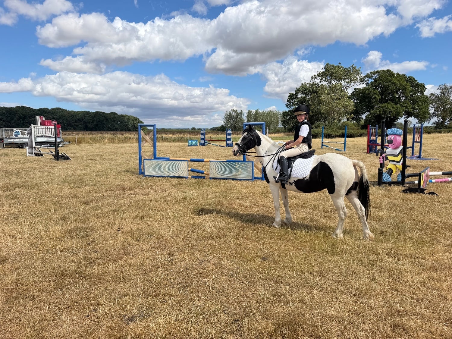 York "Annie" Piebald Mare All Rounder