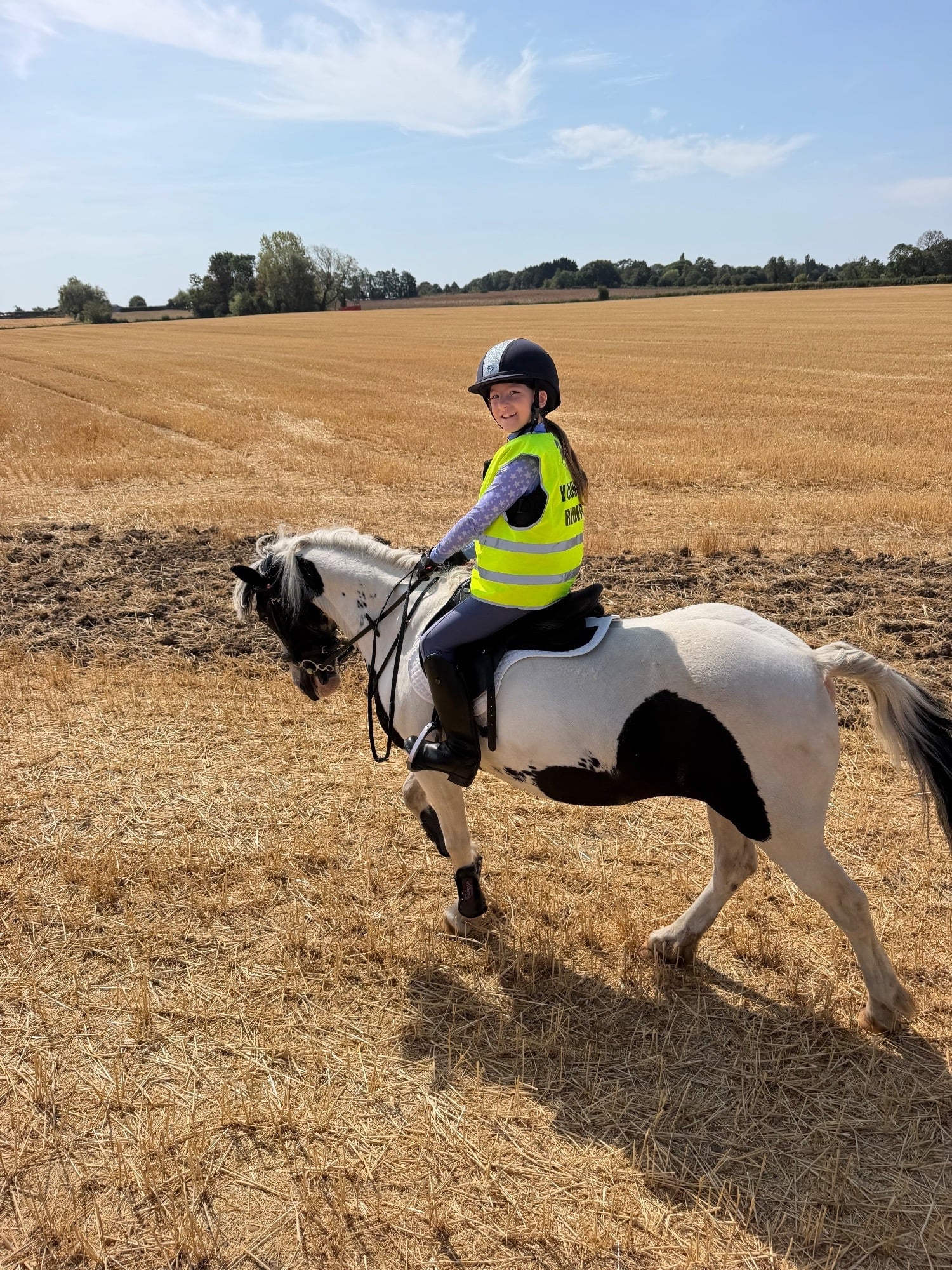 "Annie" Piebald Mare All Rounder - Horses in York