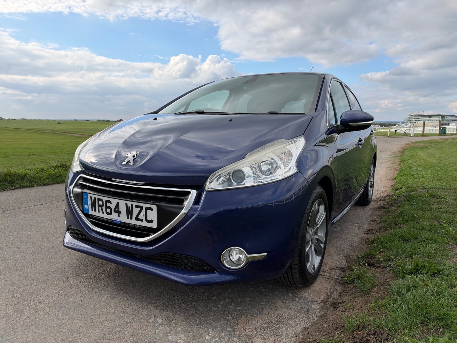 Peugeot 208 Epsom