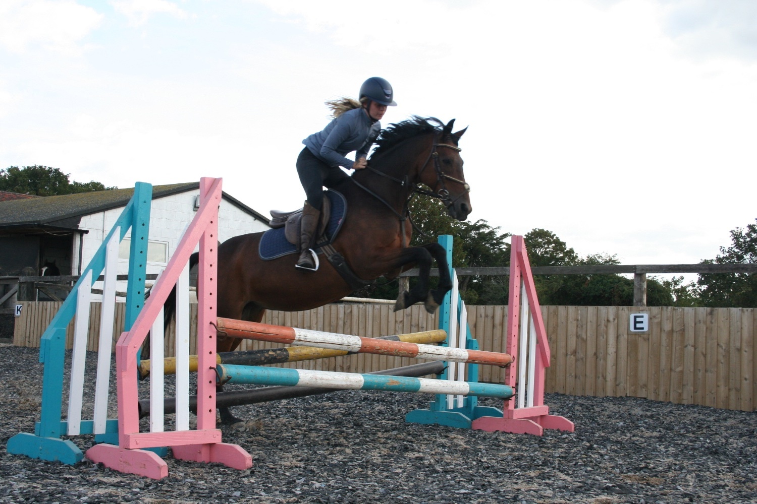 "✨Spring✨" Bay Mare Pony Club Pony - Horses in Manston