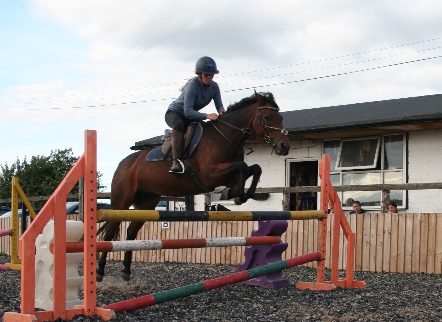 "✨Spring✨" Bay Mare Pony Club Pony - Horses