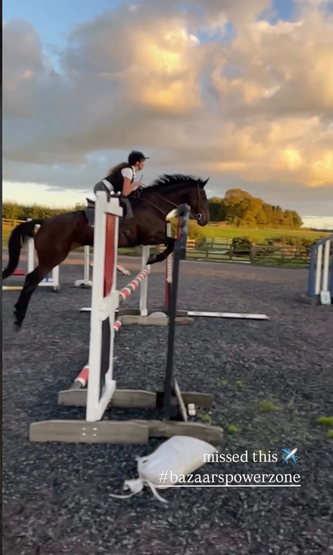 "BAZAARS POWERZONE (AKA Zara)" Bay Mare All Rounder