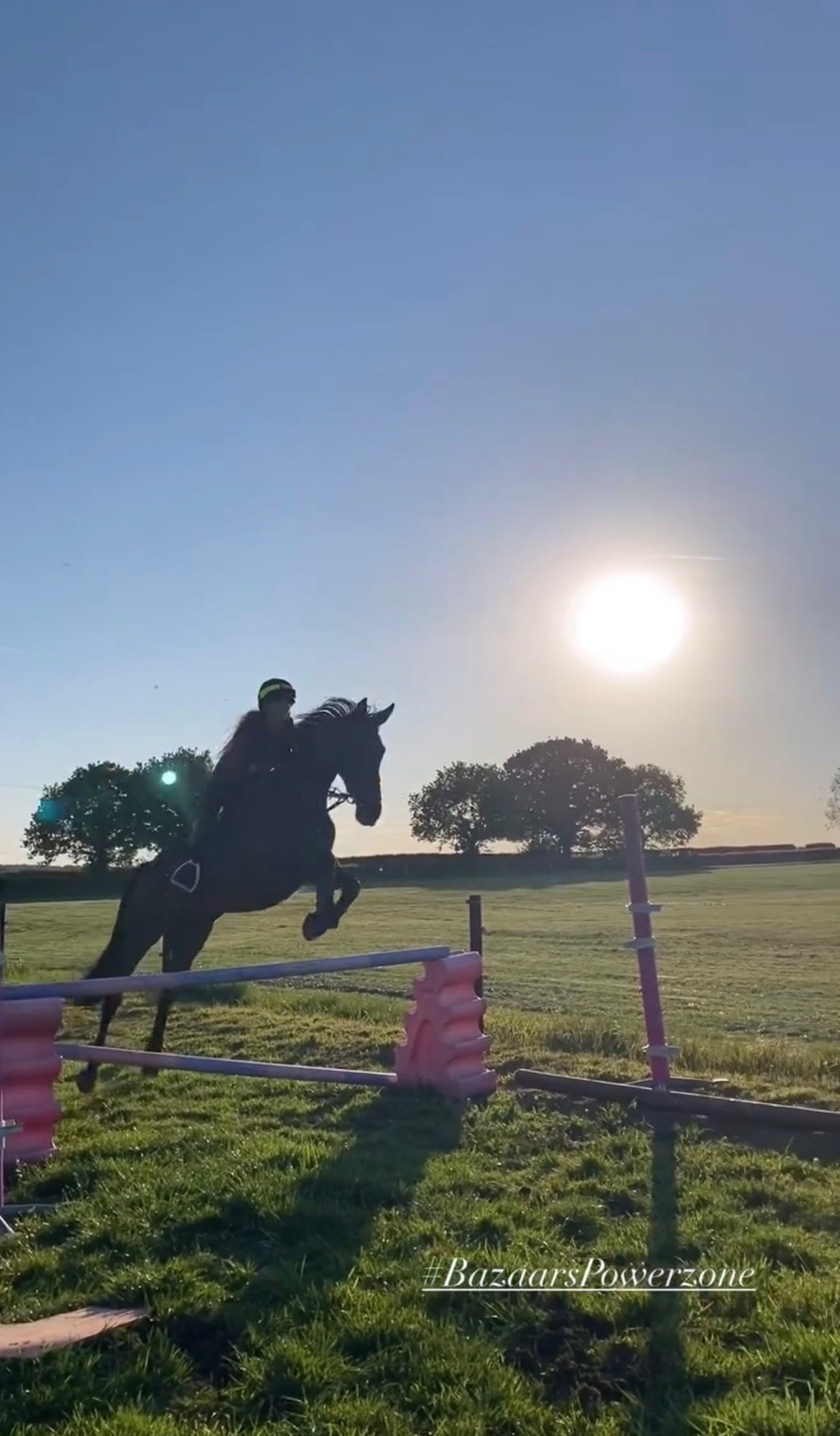"BAZAARS POWERZONE (AKA Zara)" Bay Mare All Rounder - Horses in Tutbury