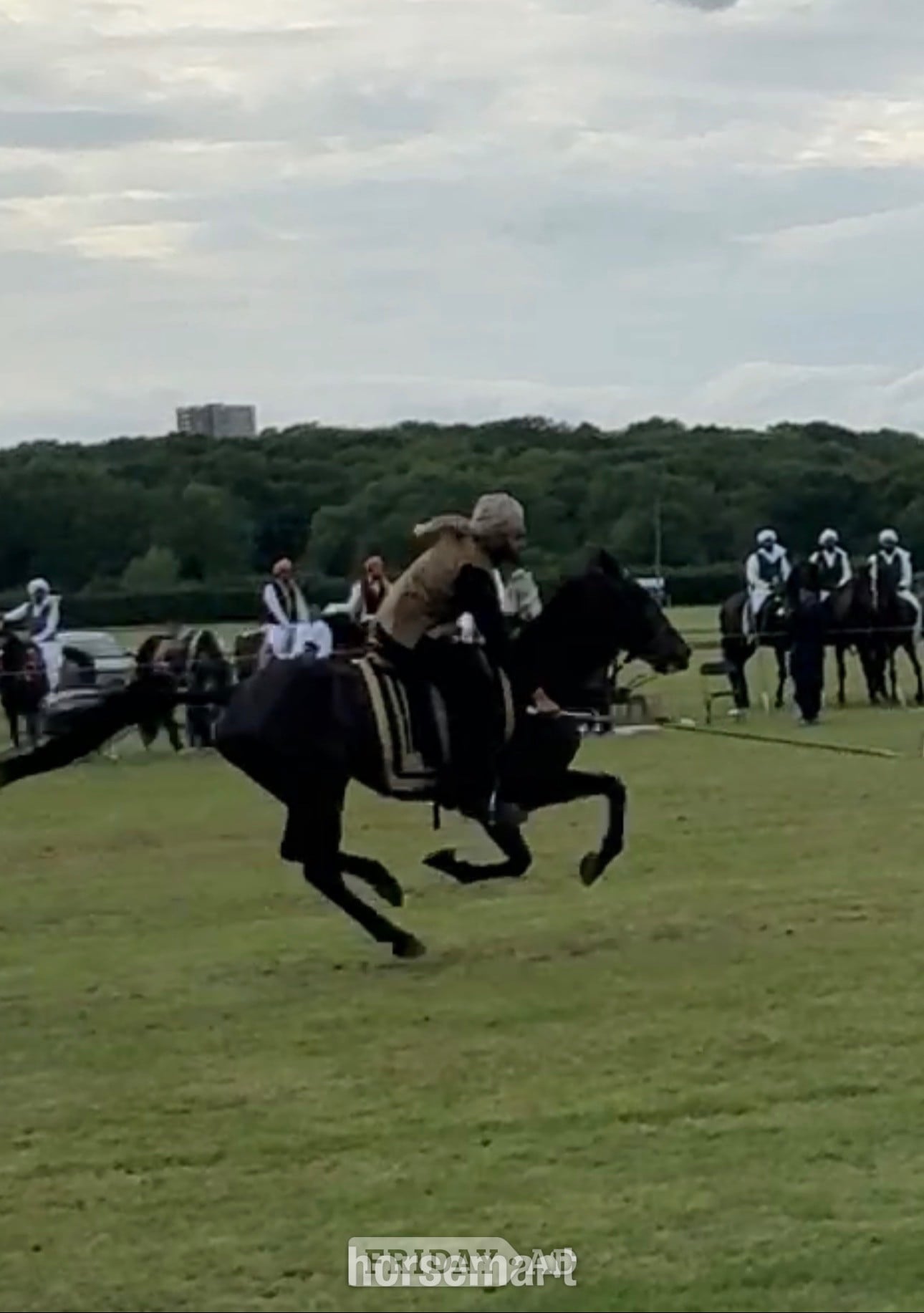 "Lakeside ronaldo “Happy Hacker”" Bay Gelding All Rounder in Oswaldtwistle