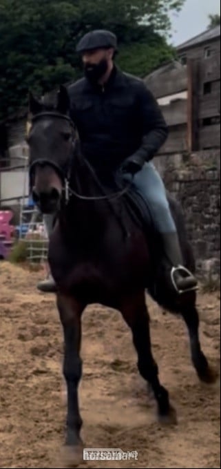 "Lakeside ronaldo “Happy Hacker”" Bay Gelding All Rounder