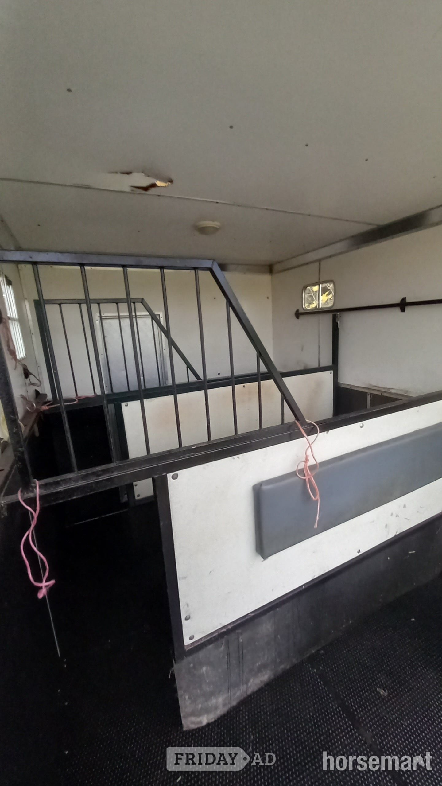 Horseboxseller  Iveco-ford Horsebox - Trailers & Horseboxes in Oakhanger