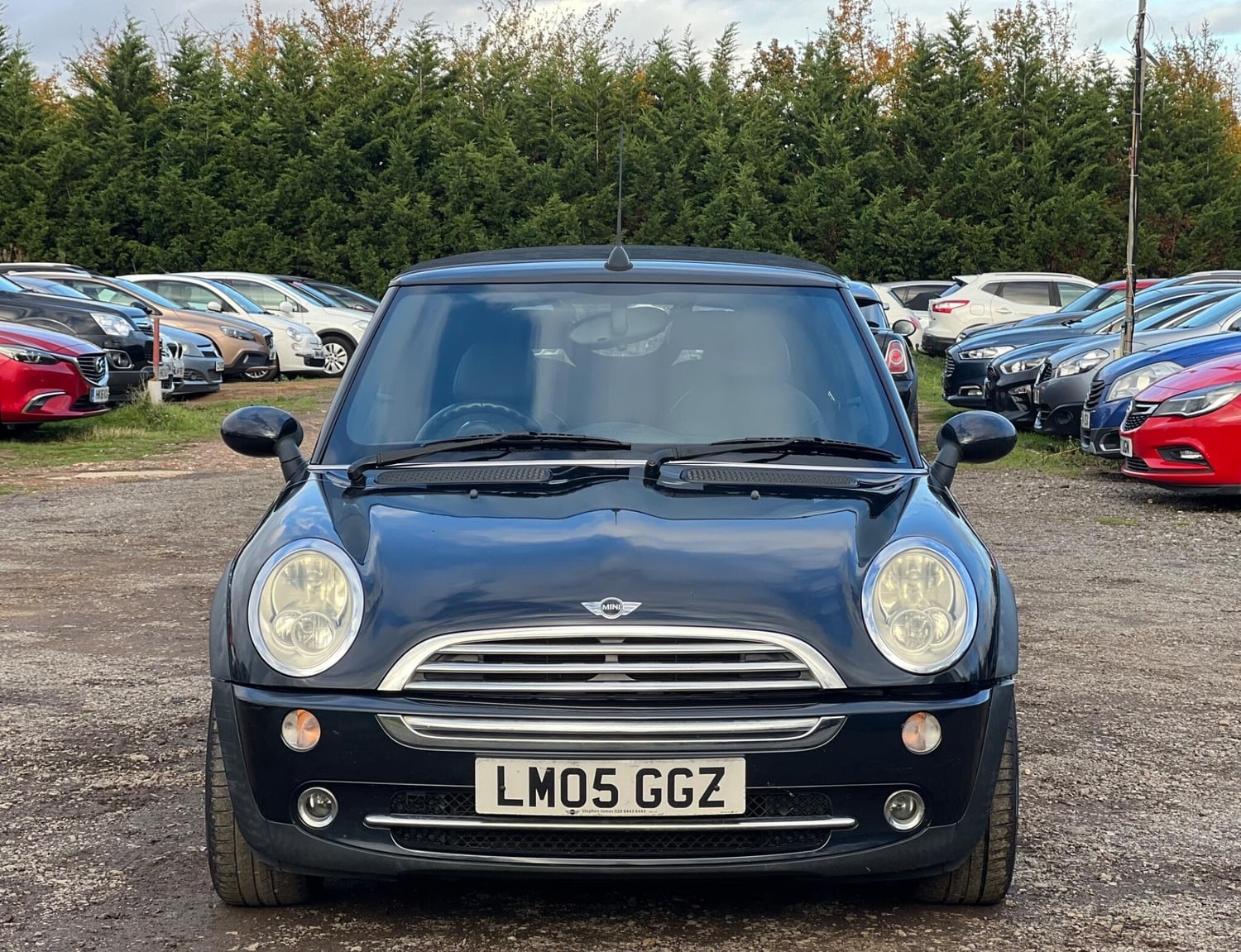 [ berth ]Mini Convertible