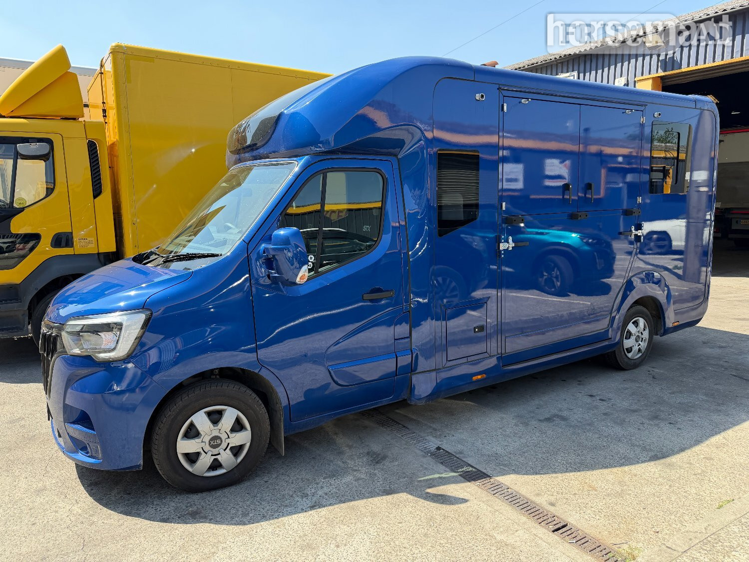 Stephex STX 2 Horse Renault Horsebox - Trailers & Horseboxes in Great Hallingbury