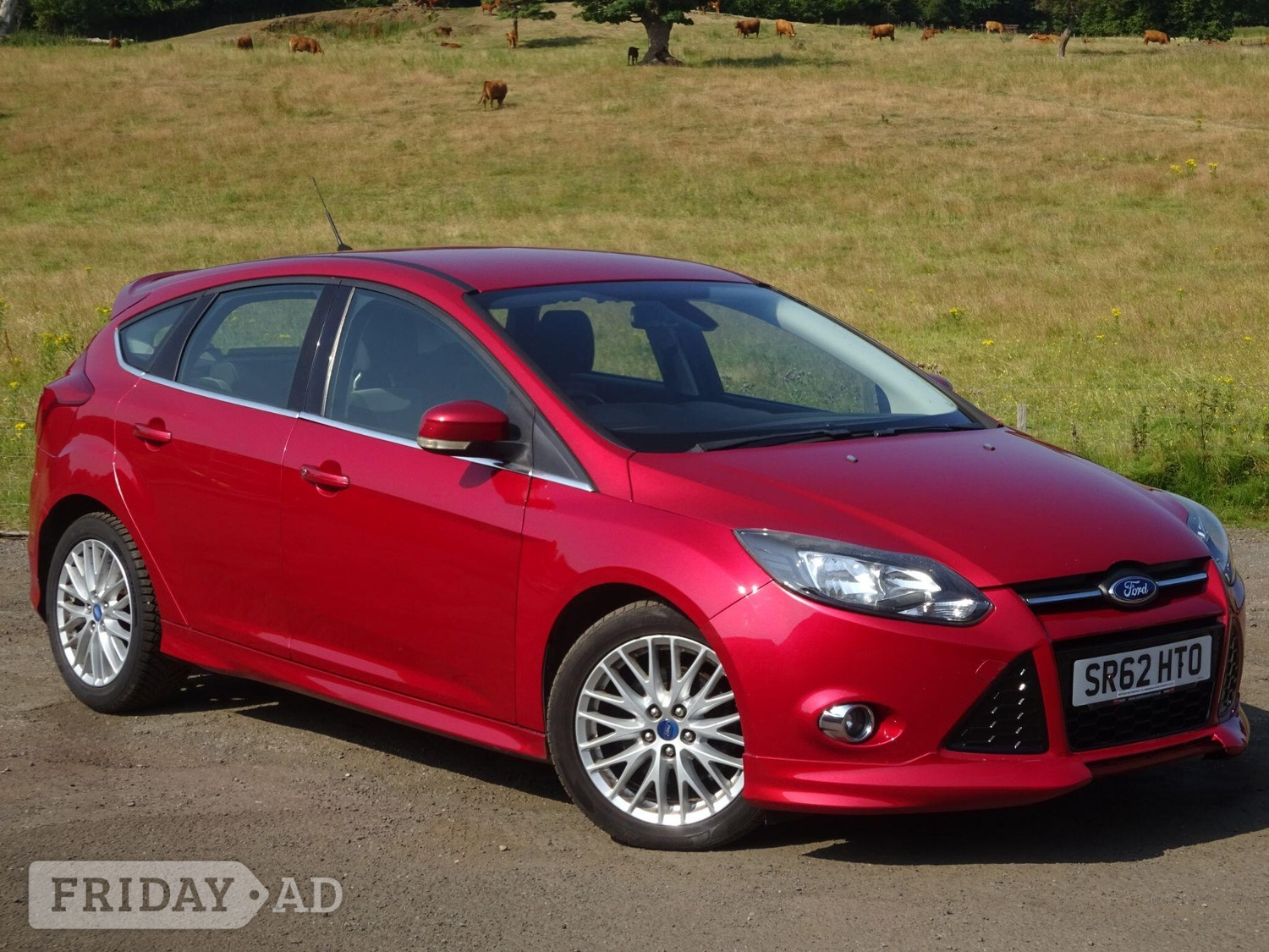 Ford Focus 2013 - Cars