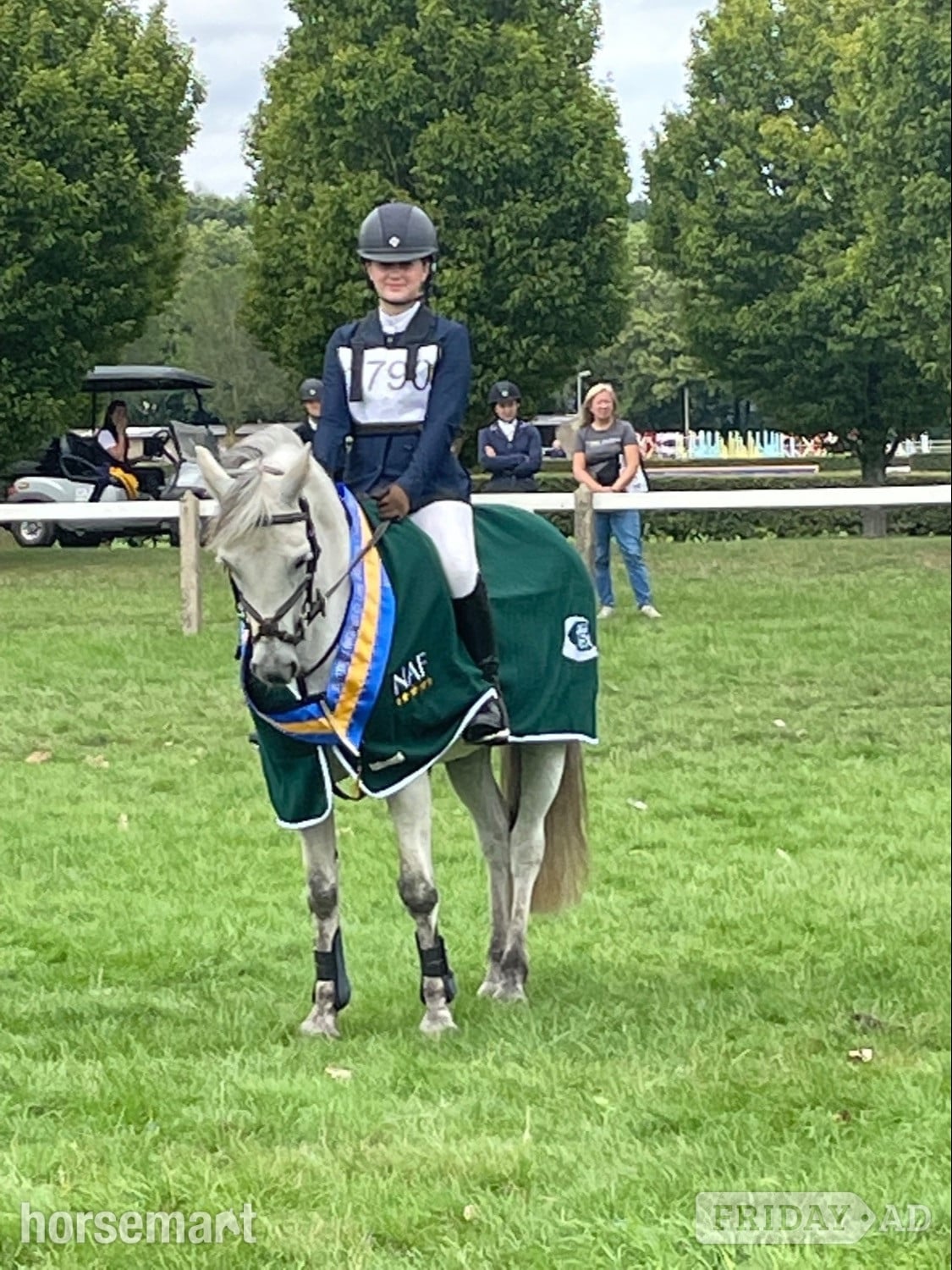 Colchester "Prince Mac" Grey Gelding Show Jumper