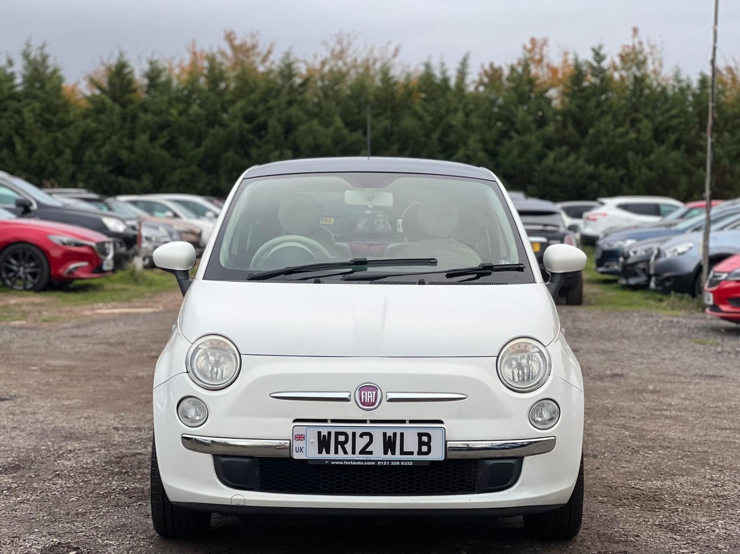 [ berth ]Fiat 500