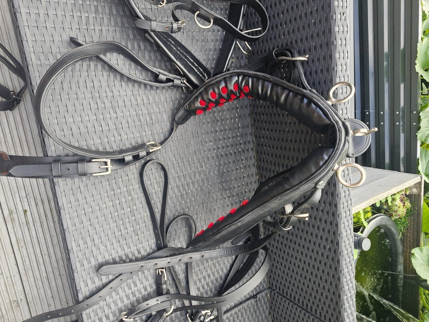 Black leather cob driving harness complete - Horse Care & Equipment