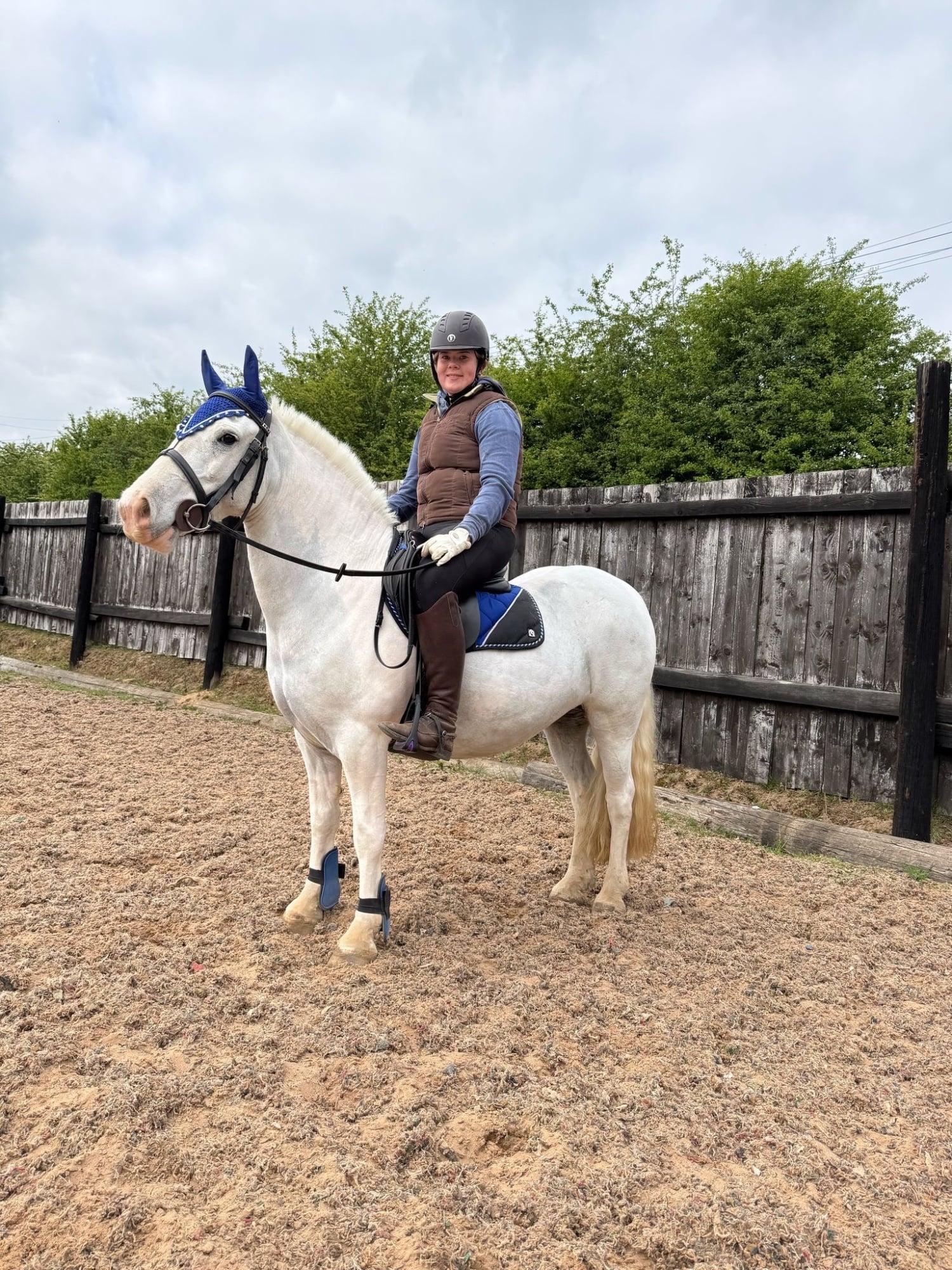 Doncaster "Amber" Grey Mare Pony Club Pony