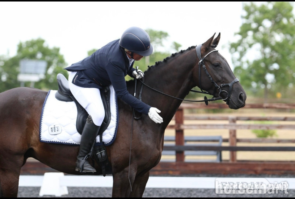 Ely "Forever Classic aka Charlie" Black Gelding Dressage Horse