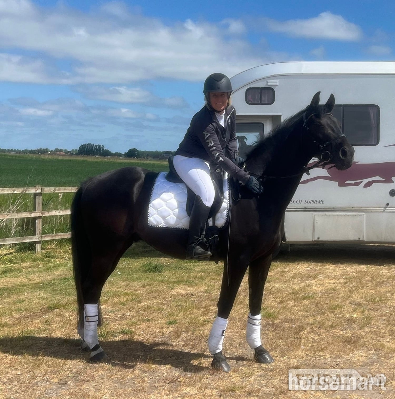 "Forever Classic aka Charlie" Black Gelding Dressage Horse - Horses in Ely