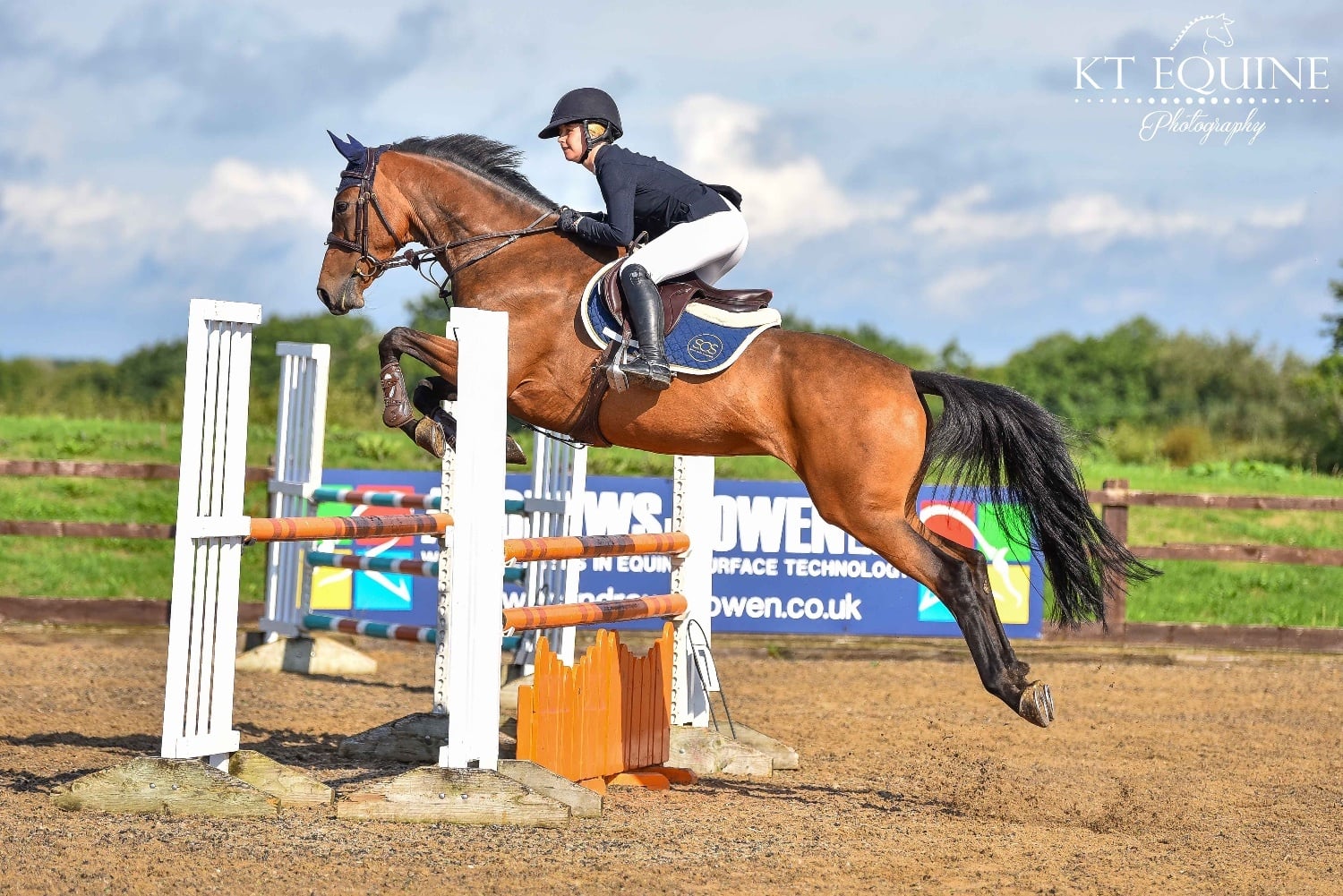 "Chicken " Dark Bay Mare All Rounder
