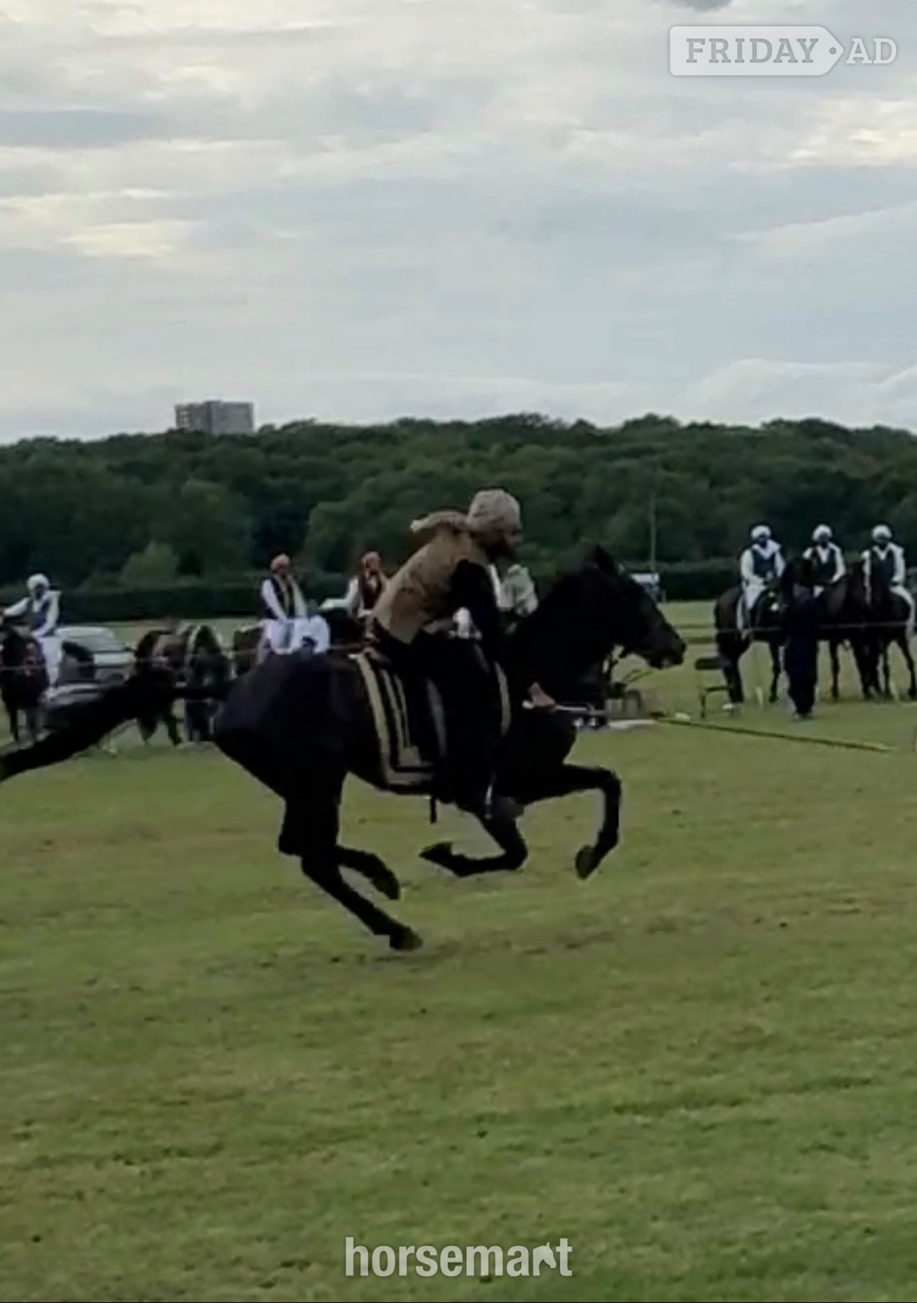 "Lakeside ronaldo “Happy Hacker”" Bay Gelding All Rounder in Oswaldtwistle