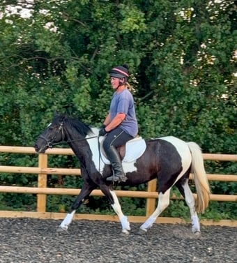 "Daisy" Tobiano Mare All Rounder