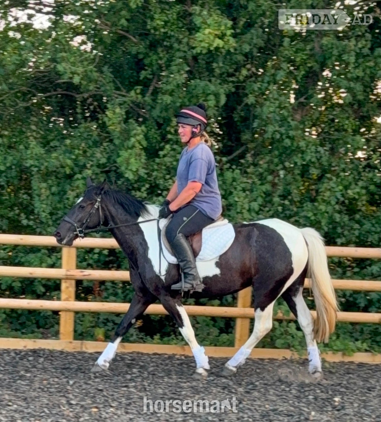 "Daisy" Tobiano Mare All Rounder in Wolverhampton