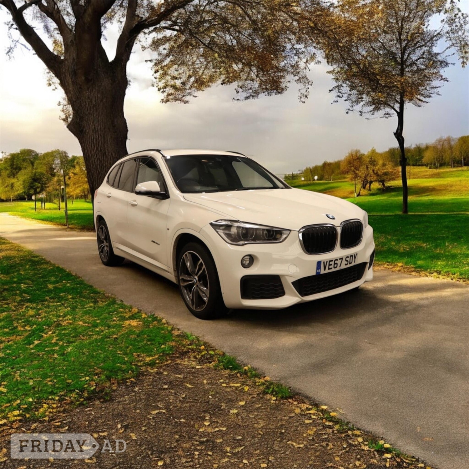 BMW X1 Staines