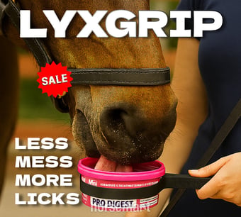 LyxGrip Mini Horslyx Holder - Mess-free treat dispensing