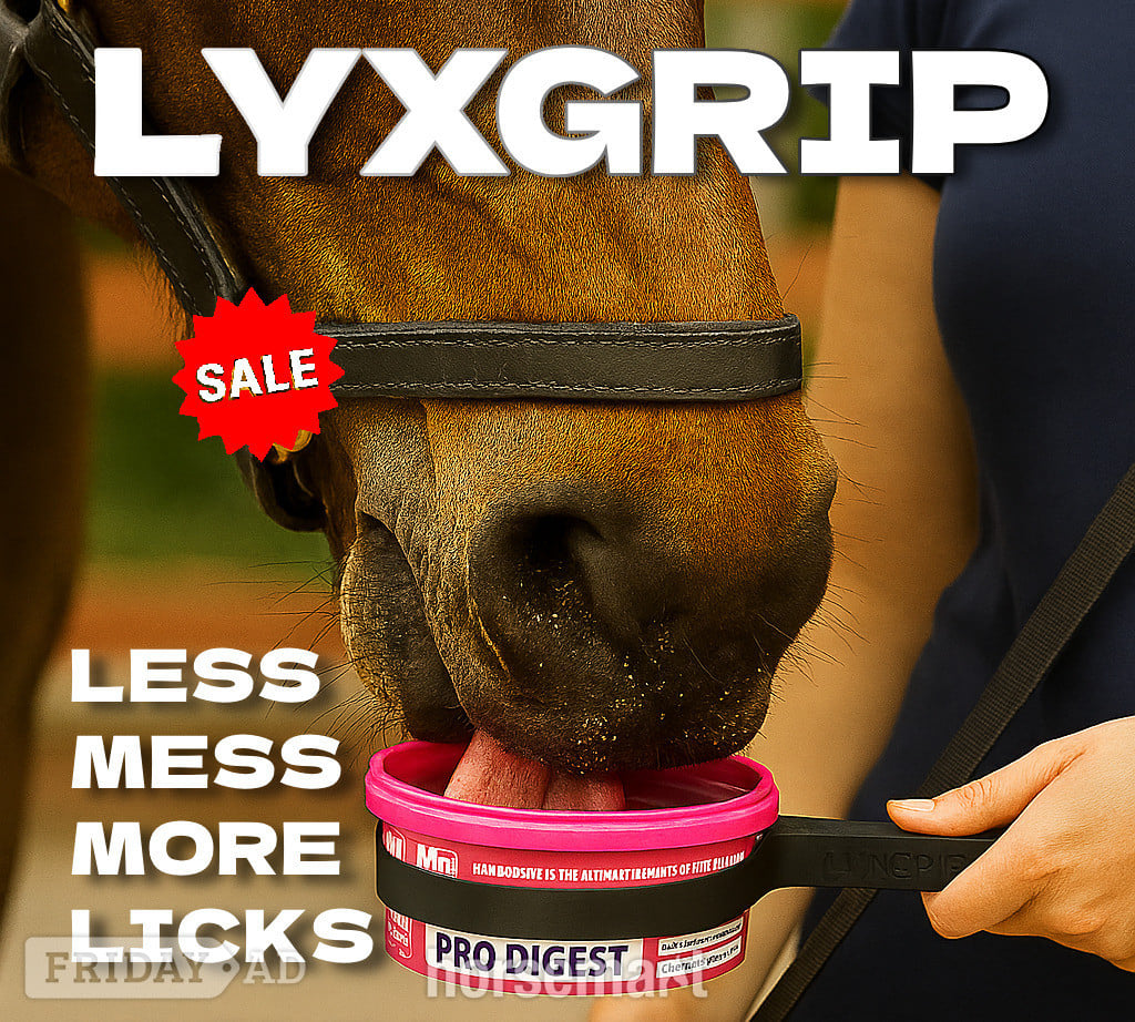 LyxGrip Mini Horslyx Holder - Mess-free treat dispensing in Lincoln