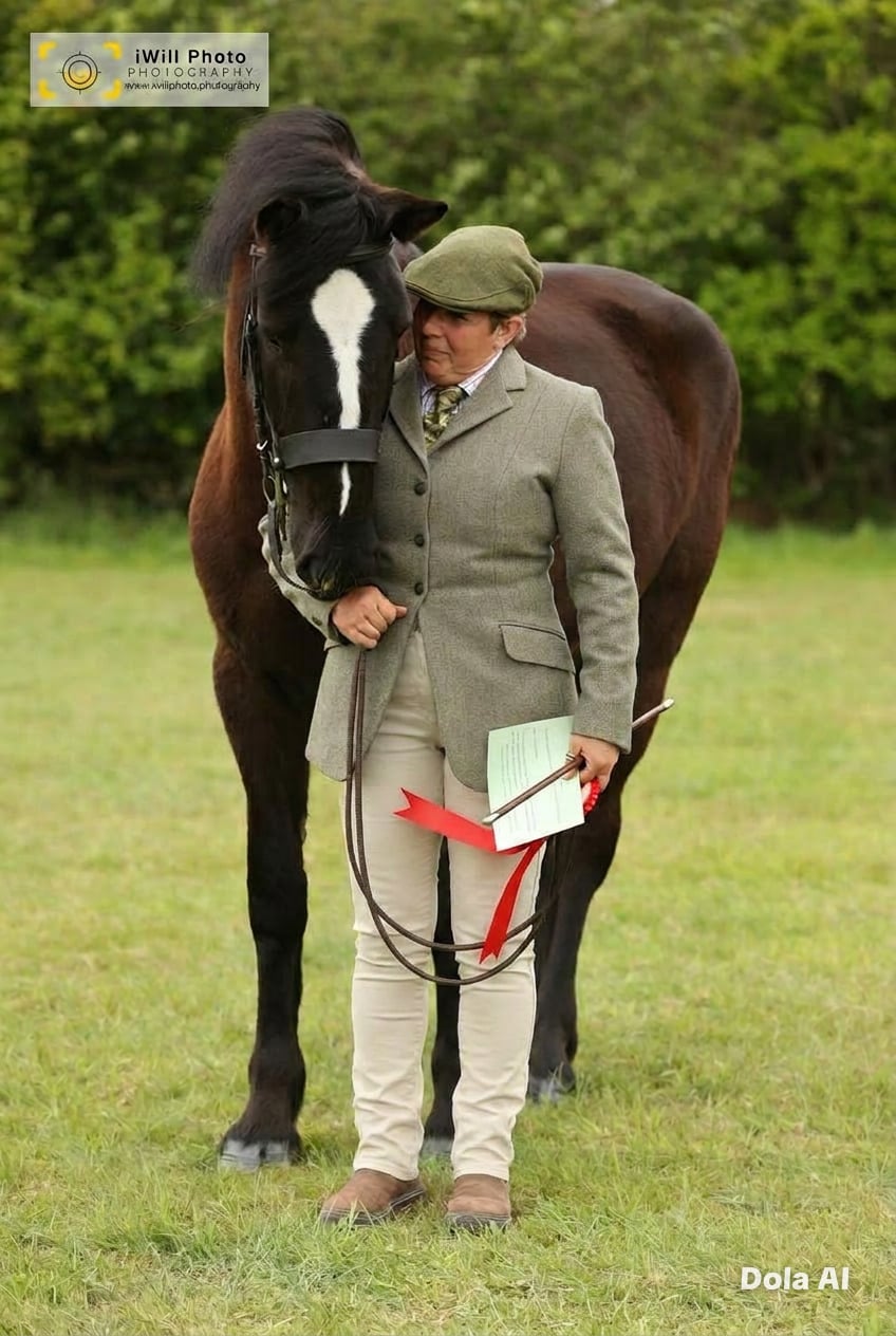 "Blank Ink" Black Mare All Rounder - Horses