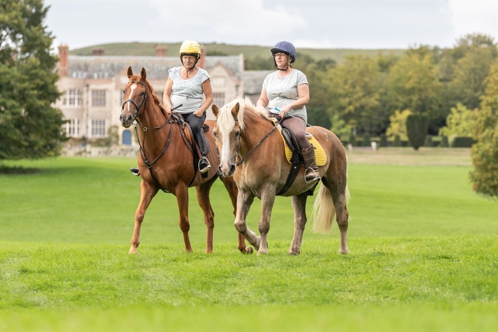 Battle "Whiskey Max" Chestnut Gelding All Rounder