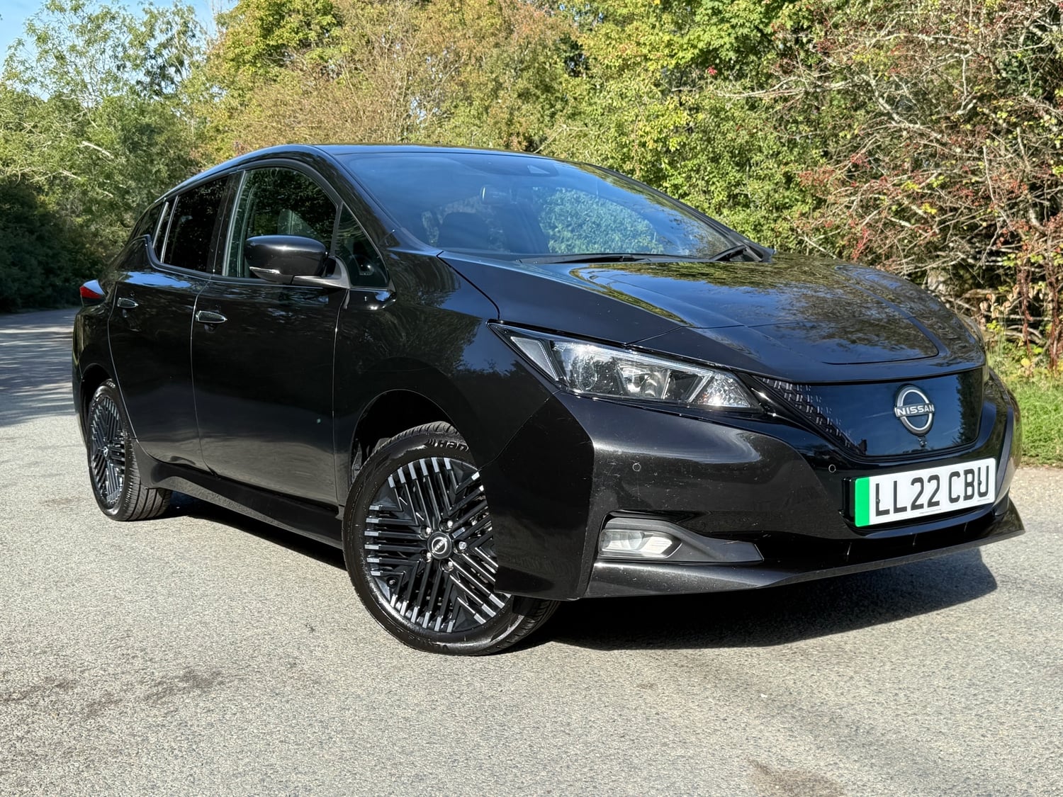 Nissan LEAF Hassocks