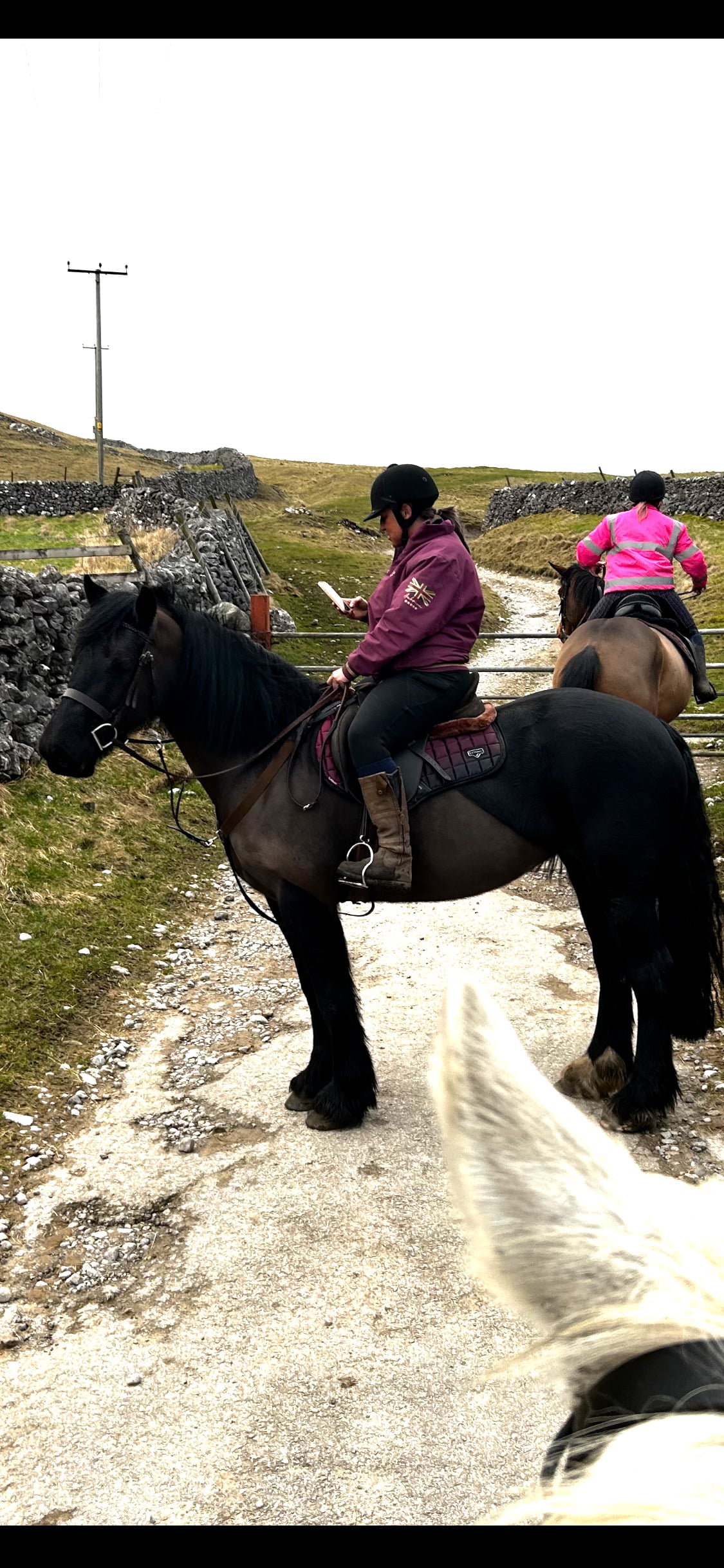 Skipton "Kora " Black Mare Cob/Heavy Horse
