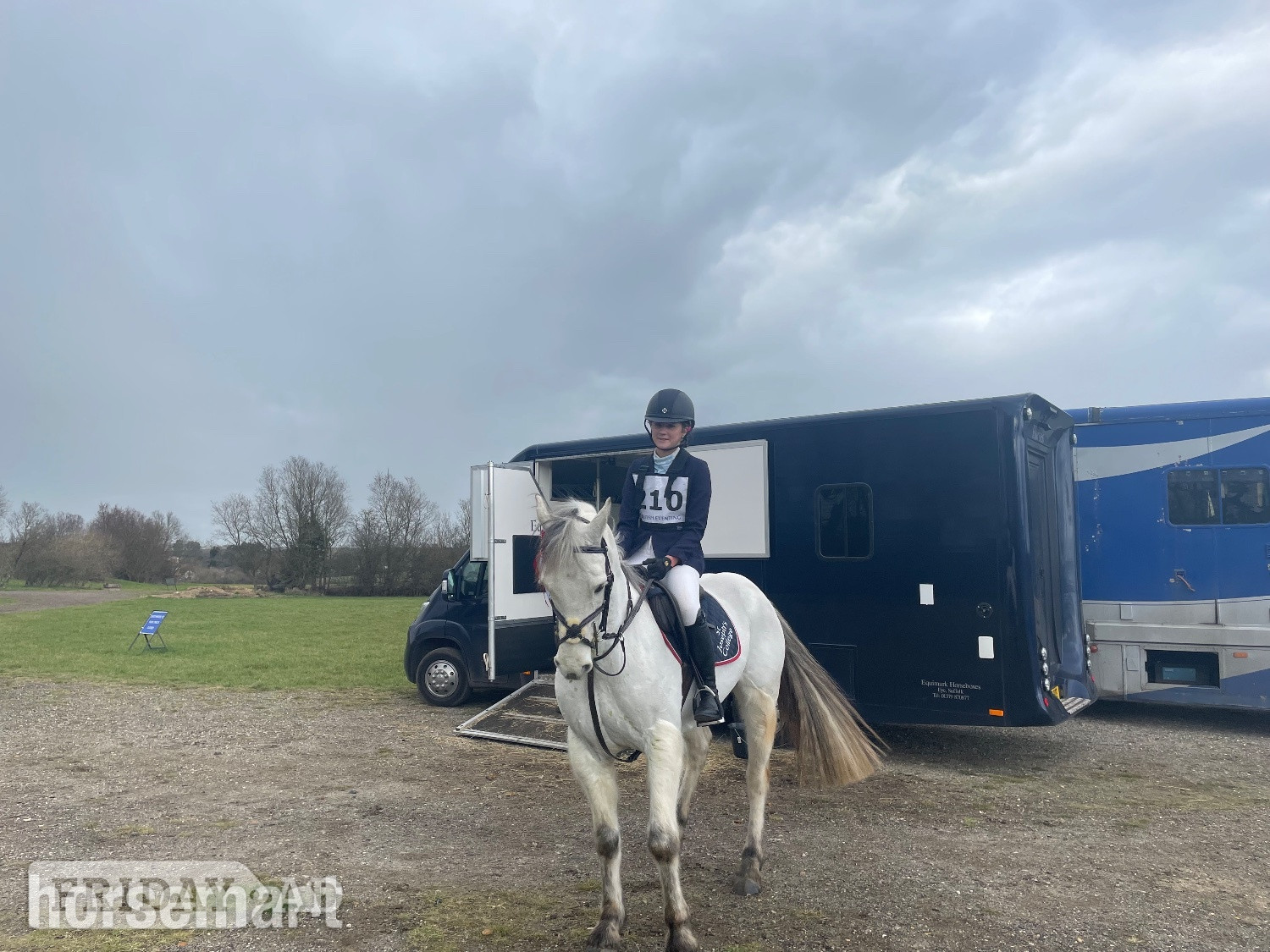 "Prince Mac" Grey Gelding Show Jumper in Colchester