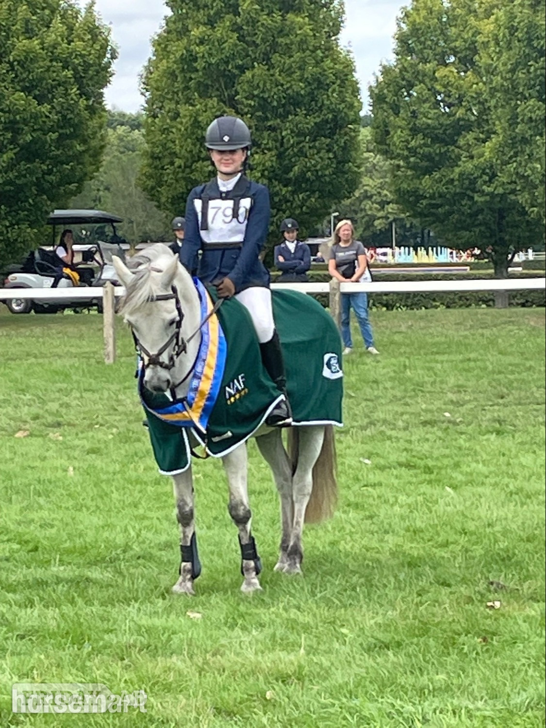Colchester "Prince Mac" Grey Gelding Show Jumper