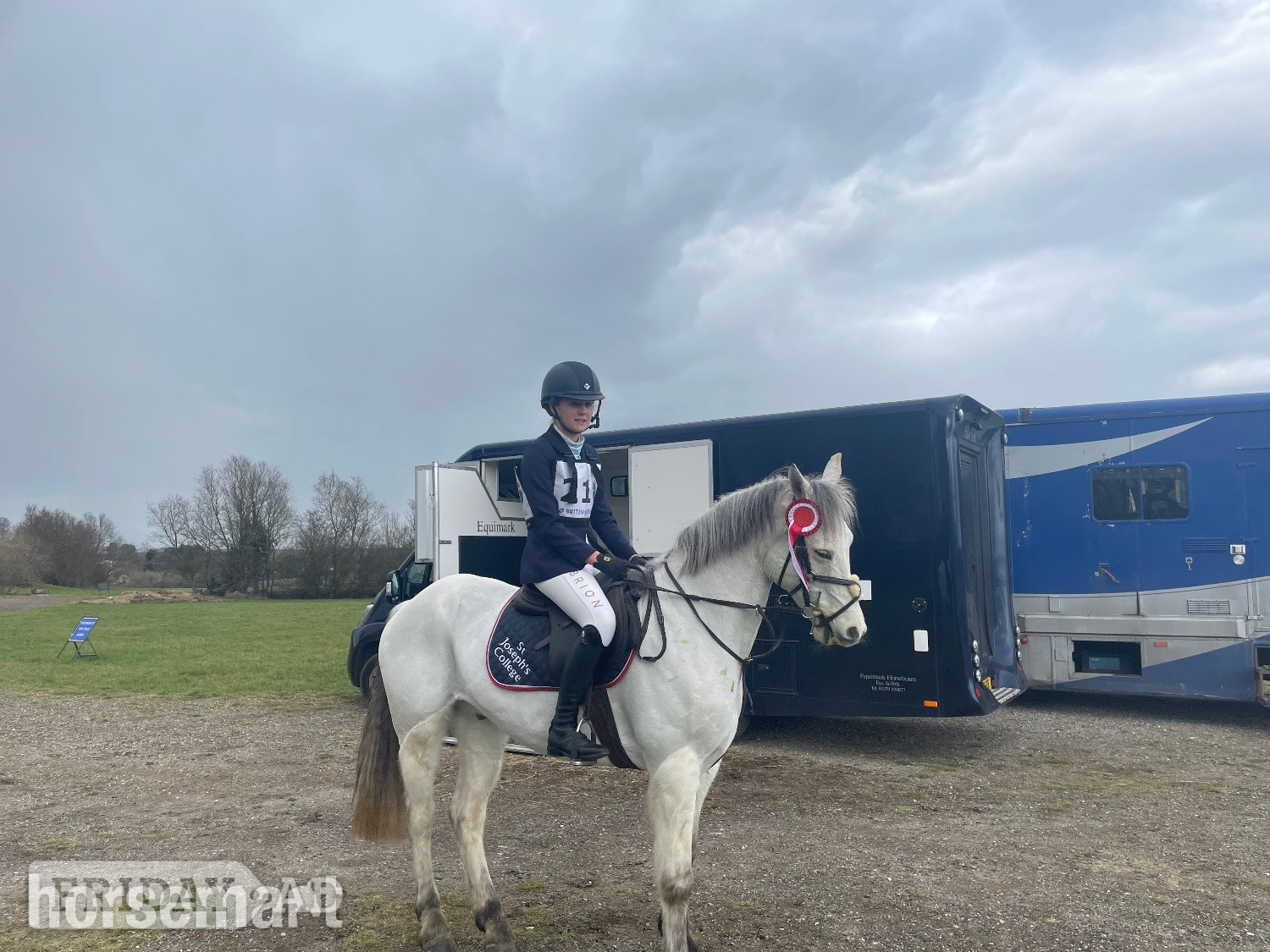 "Prince Mac" Grey Gelding Show Jumper