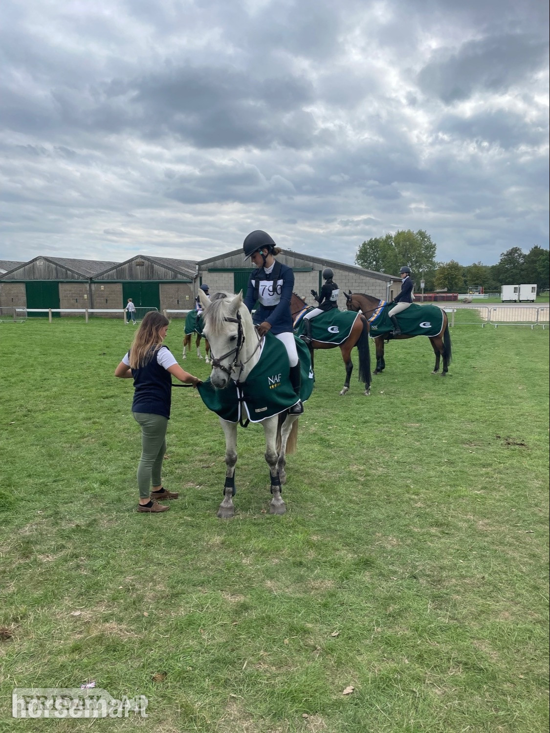 "Prince Mac" Grey Gelding Show Jumper - Horses in Colchester