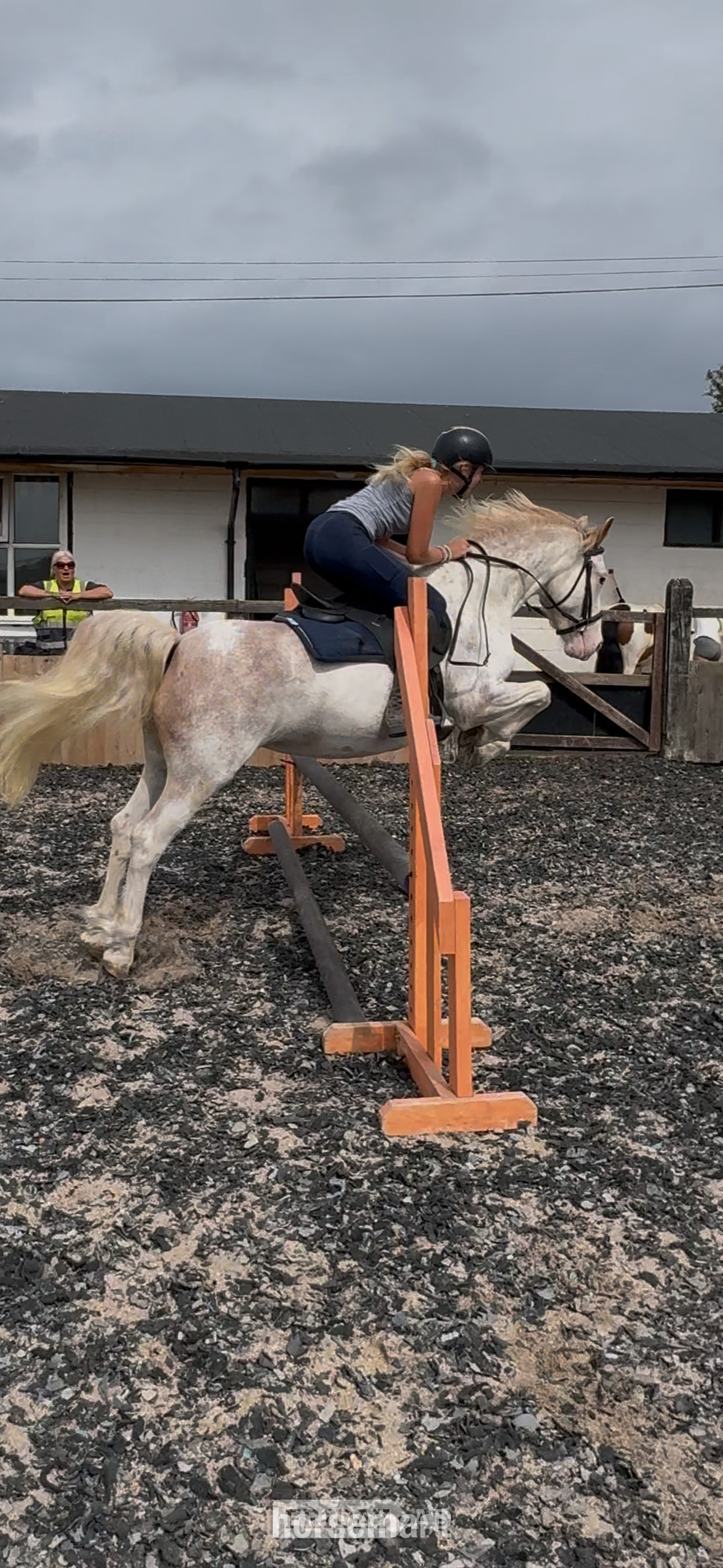 "✨Delilah ✨" Other Colour Mare Project Horse