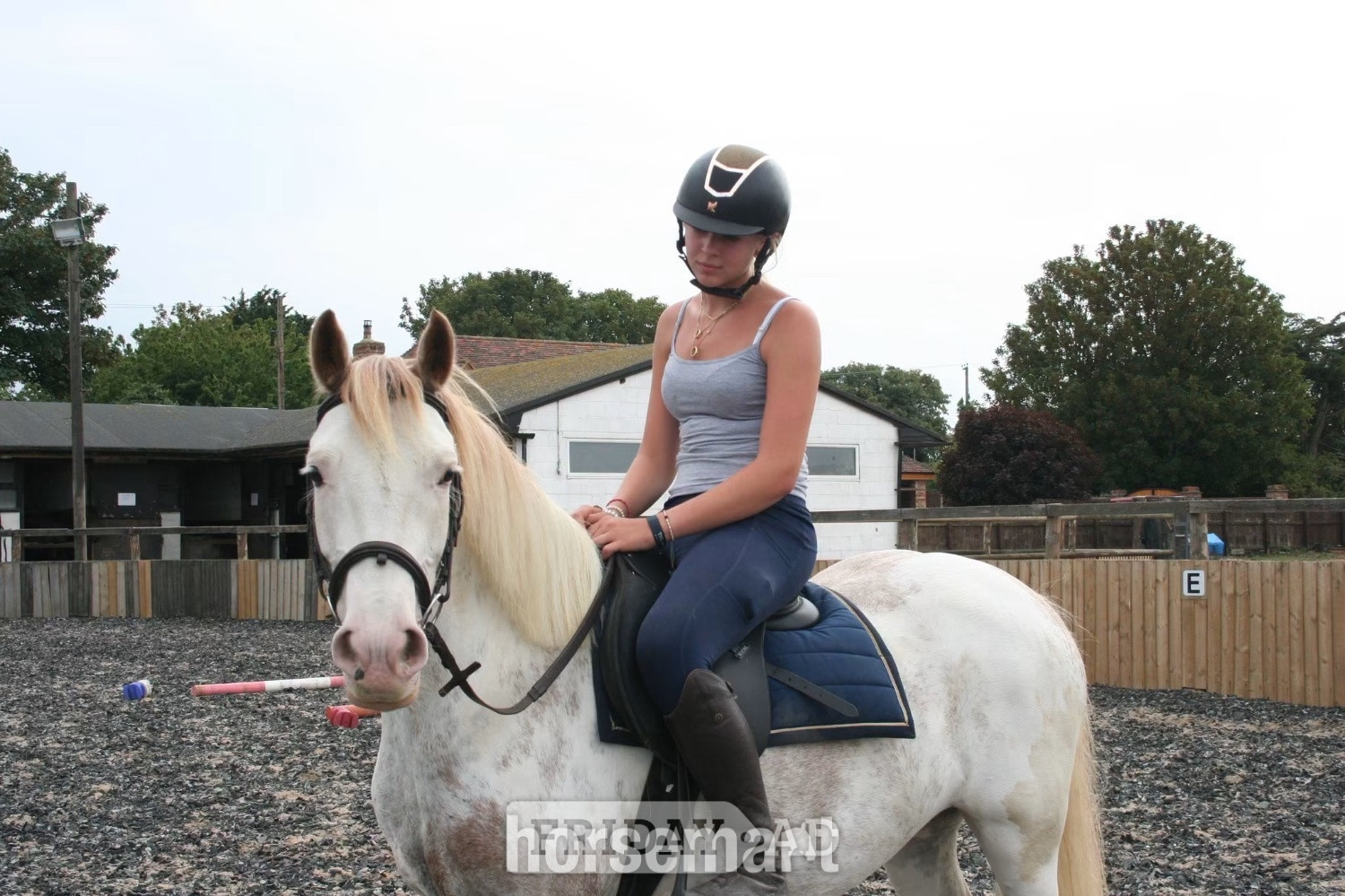 Manston "✨Delilah ✨" Other Colour Mare Project Horse