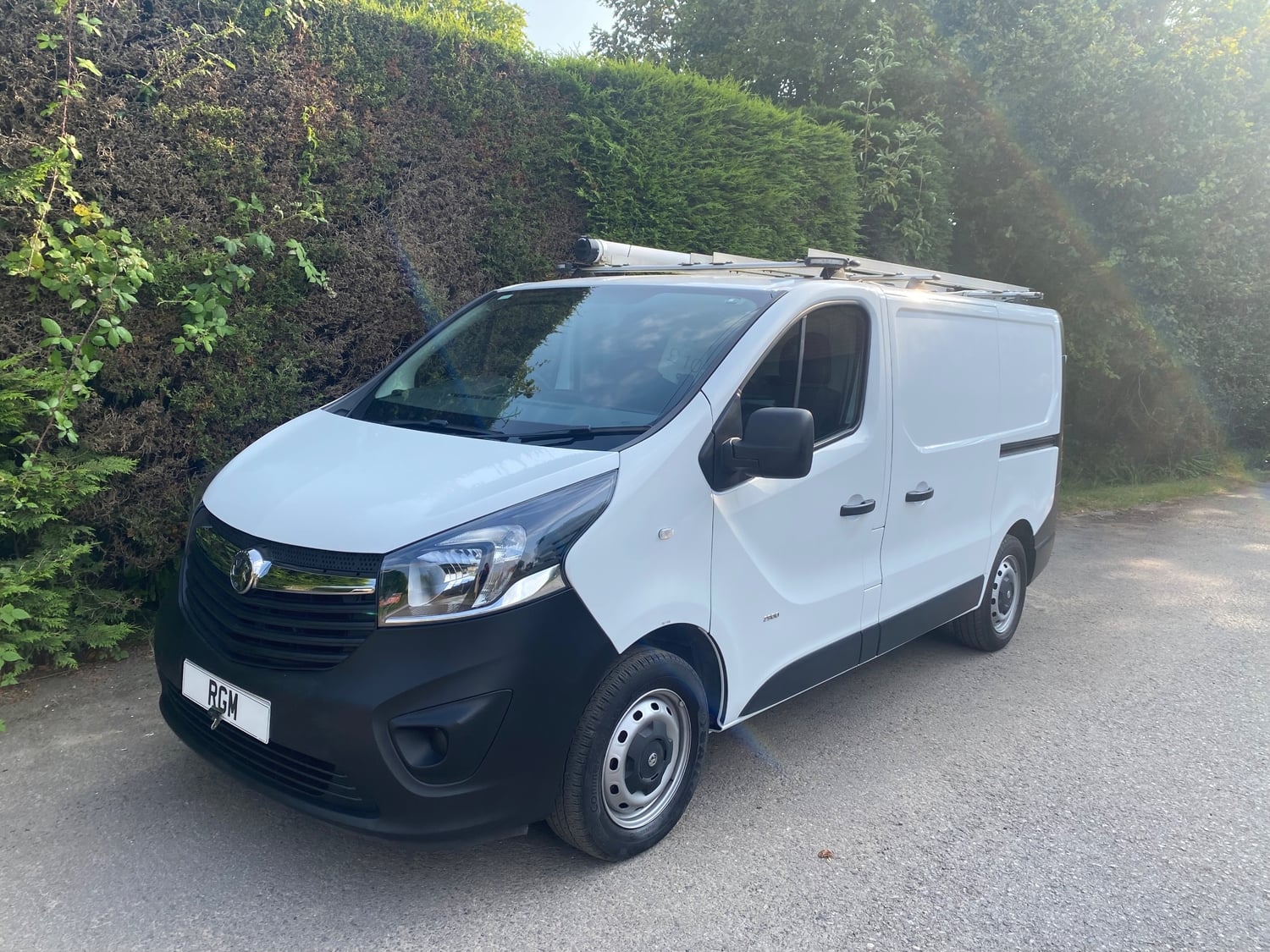 Vauxhall Vivaro 2016 - Vans & Commercial Vehicles in Heathfield