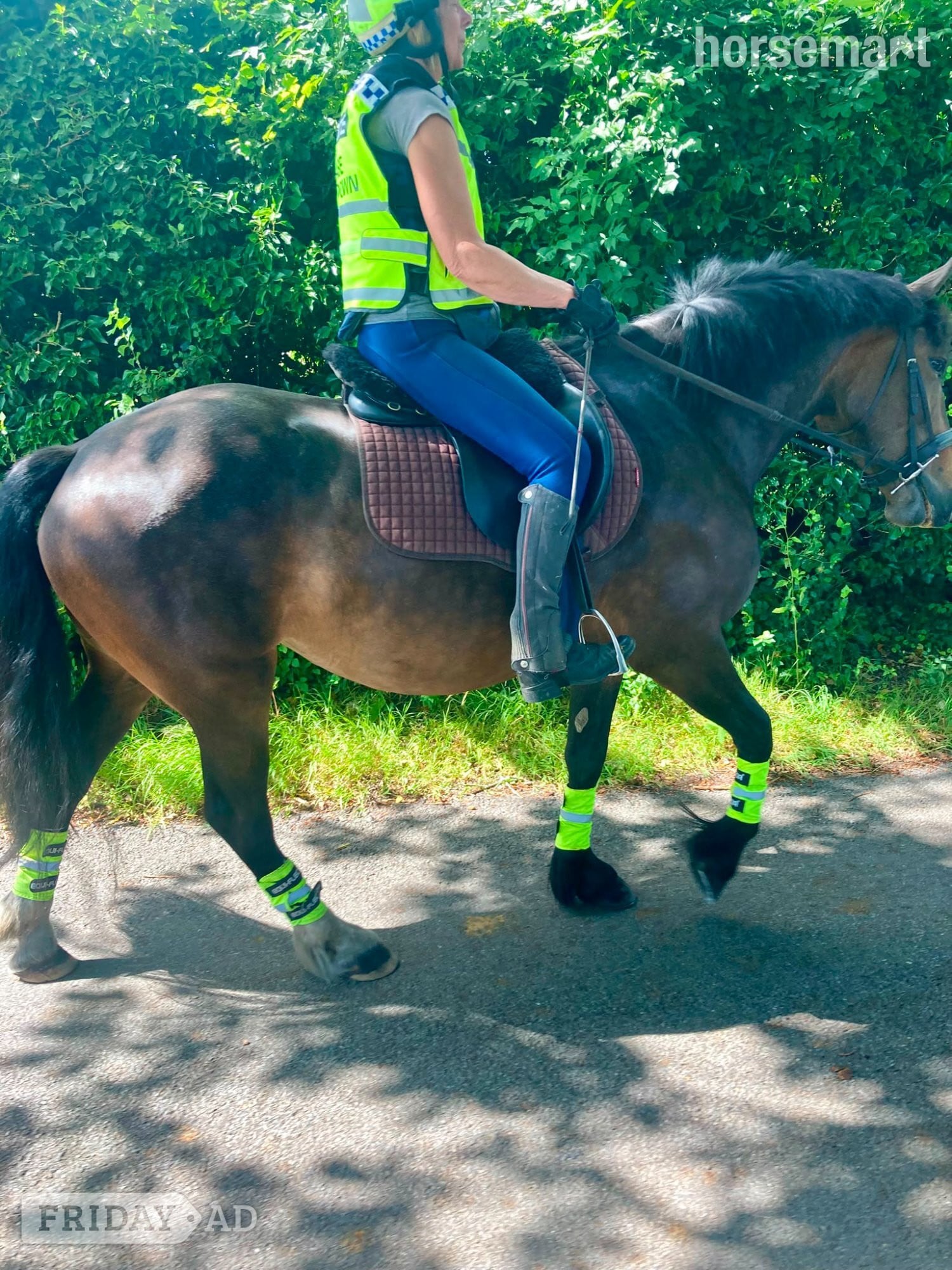 Hartlebury "Lulu" Bay Mare All Rounder