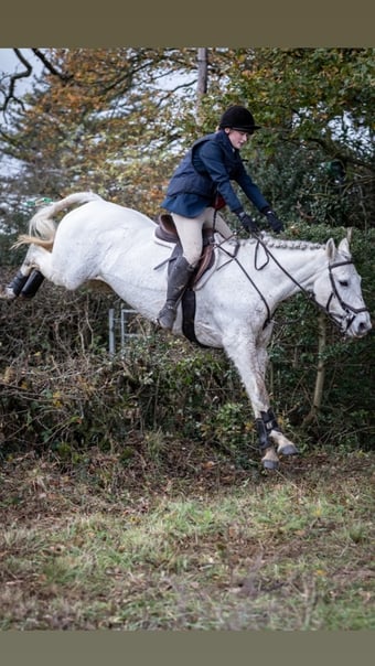 "Etta" Grey Mare Hunter