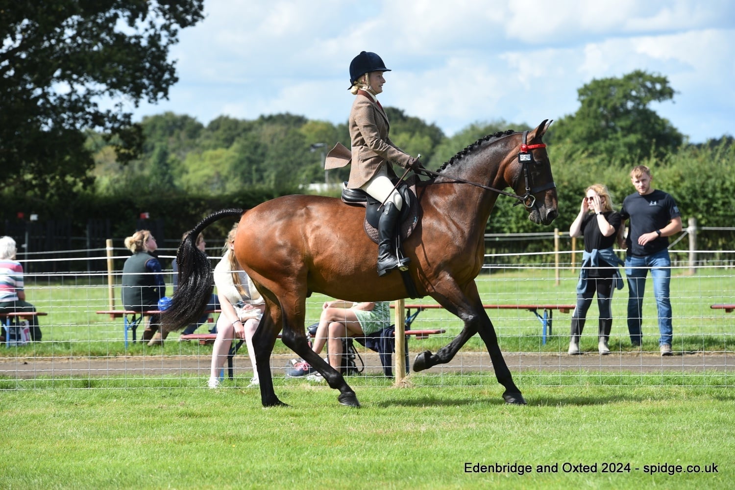 Part Loaner / Sharer Wanted - Horses in Redhill
