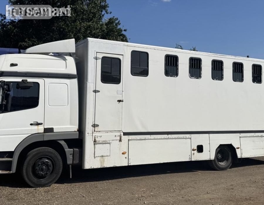 Mercedes-Benz Horsebox in Southwell