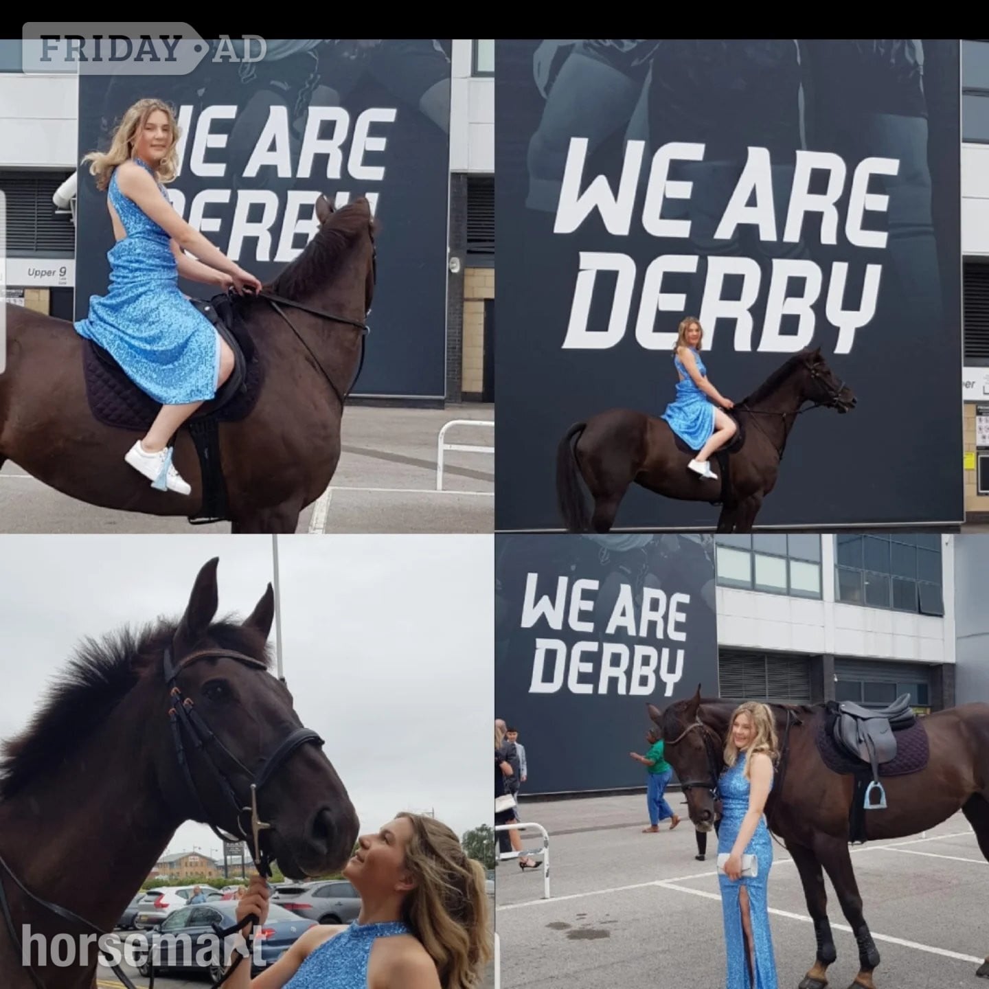 "Willbrook Poppy Cruise/ Bessy"  Mare Show Jumper