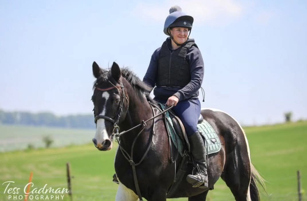Maiden Bradley "Albie"  Gelding All Rounder