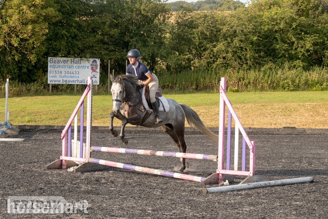 "Sansas Charm" Dapple Grey Mare All Rounder